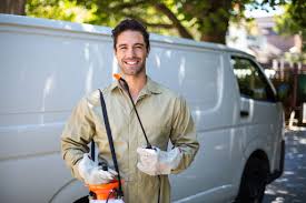 Best Termite Inspection and Treatment  in Mansfield, PA